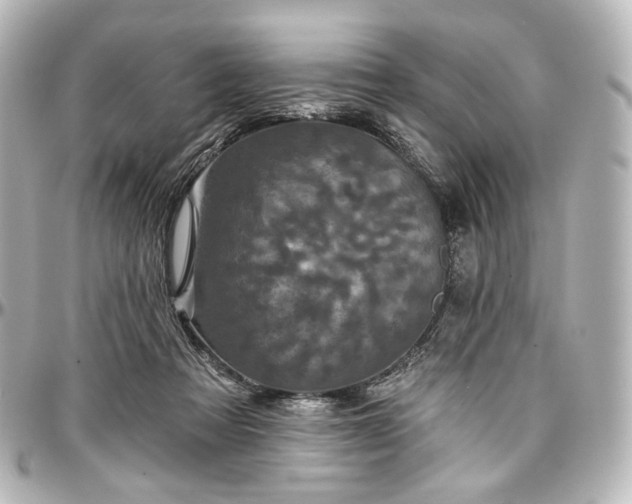 X0000097290313200802221318