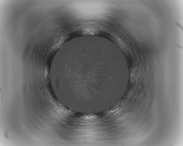 X0000097290314200802221318