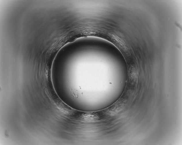 X0000097290315200802221318