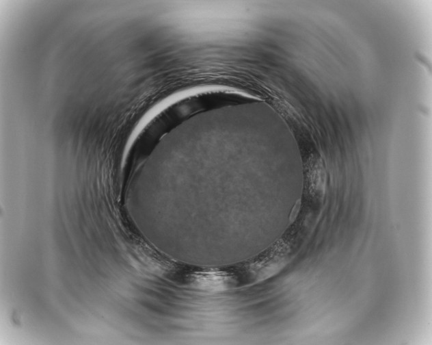 X0000097290316200802221318