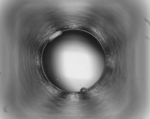 X0000097290317200802221318