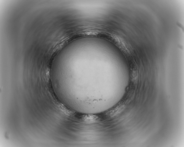 X0000097290321200802221318