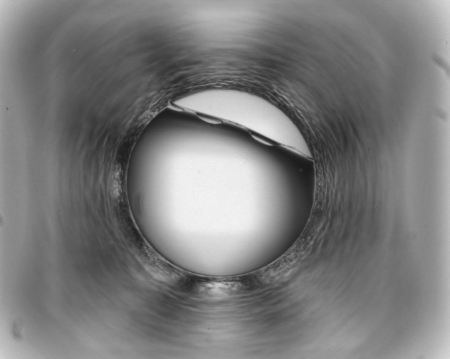 X0000097290323200802221317