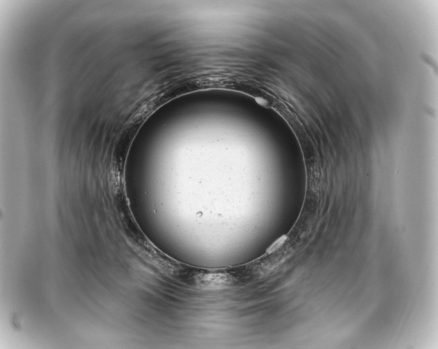 X0000097290324200802221317