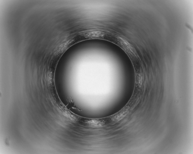 X0000097290326200802221317