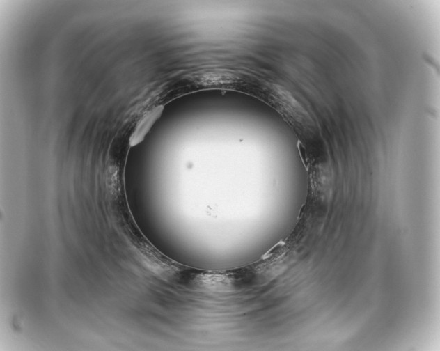X0000097290327200802221317