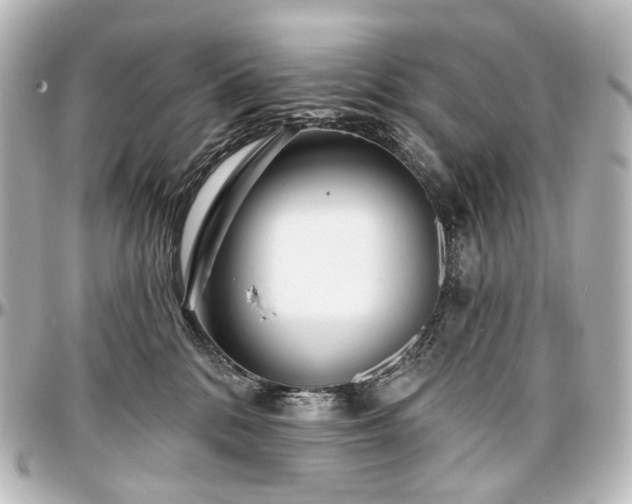 X0000097290328200802221317