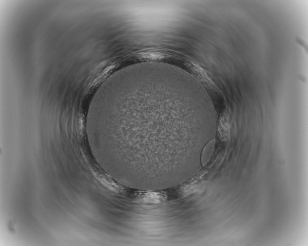 X0000097290330200802221317