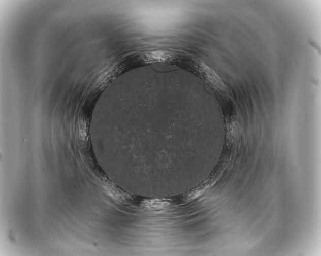 X0000097290331200802221317