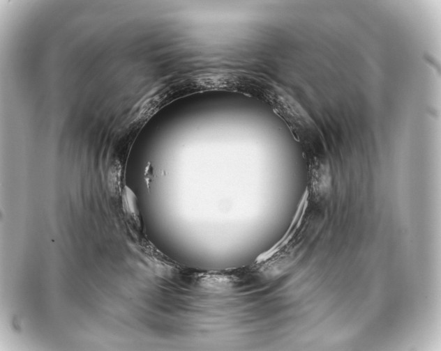 X0000097290332200802221317