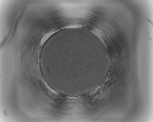 X0000097290337200802221317