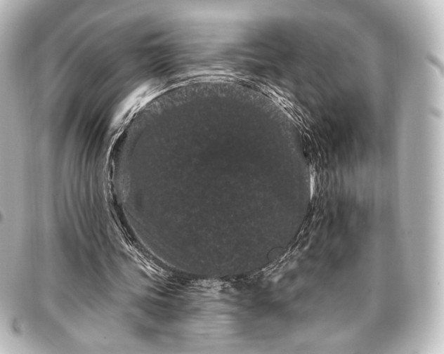 X0000097290339200802221317