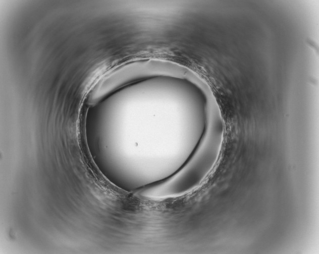 X0000097290340200802221317