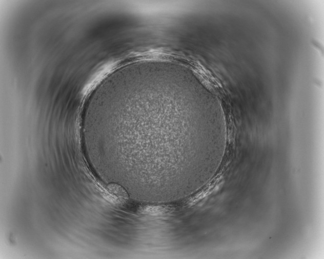 X0000097290341200802221317