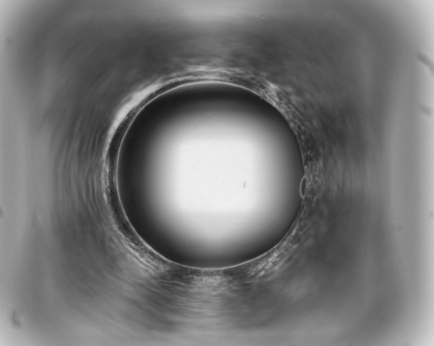 X0000097290342200802221317