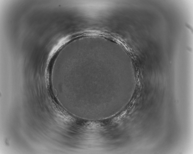 X0000097290343200802221317