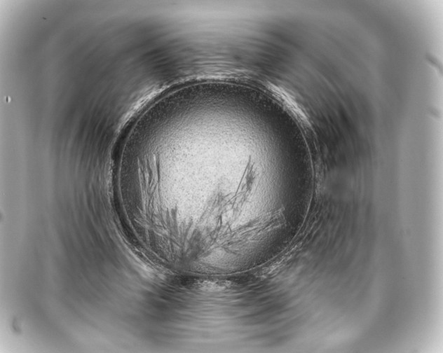 X0000097290346200802221317