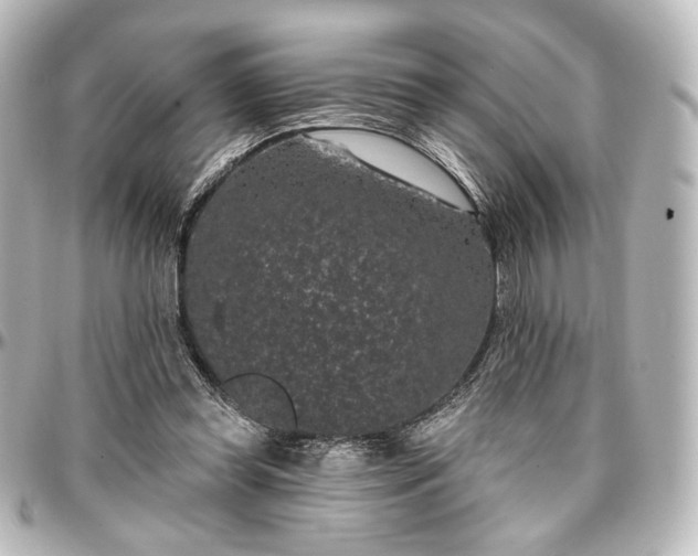 X0000097290349200802221317
