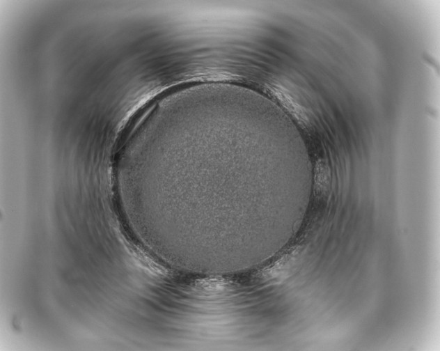X0000097290351200802221317