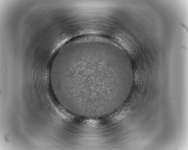 X0000097290352200802221317