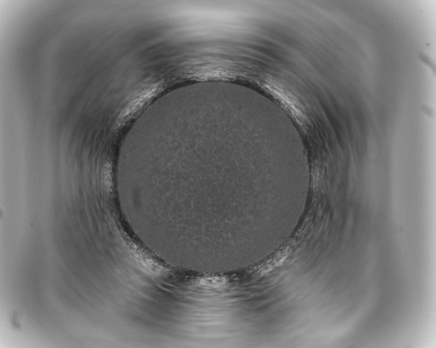 X0000097290353200802221317