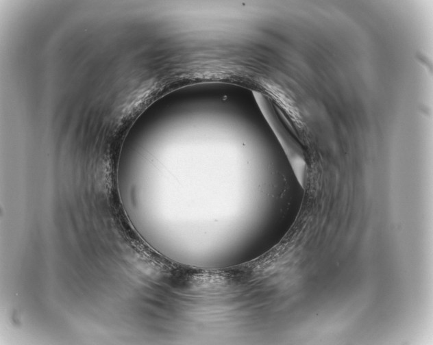 X0000097290354200802221317