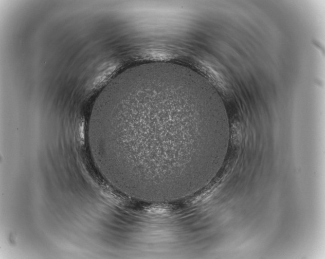 X0000097290358200802221317