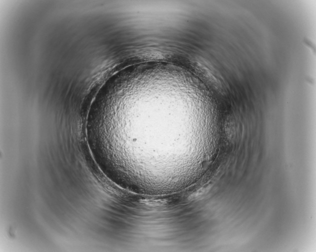 X0000097290359200802221317
