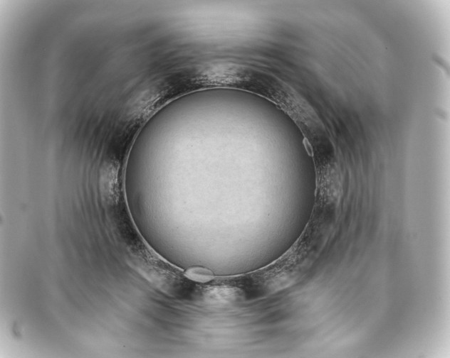 X0000097290360200802221317