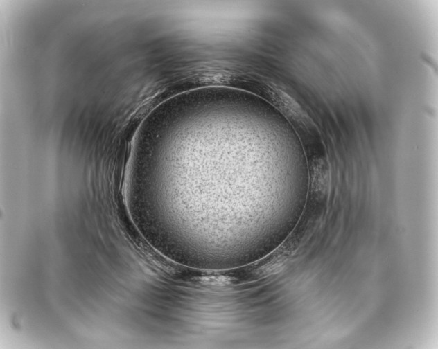 X0000097290363200802221317