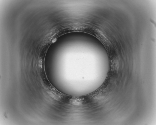 X0000097290368200802221317