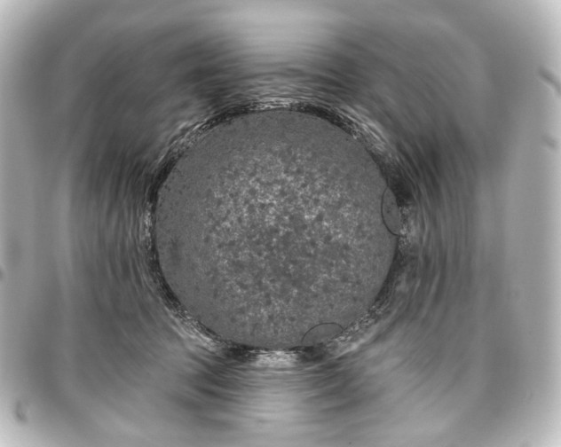 X0000097290369200802221317