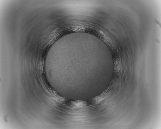 X0000097290370200802221317