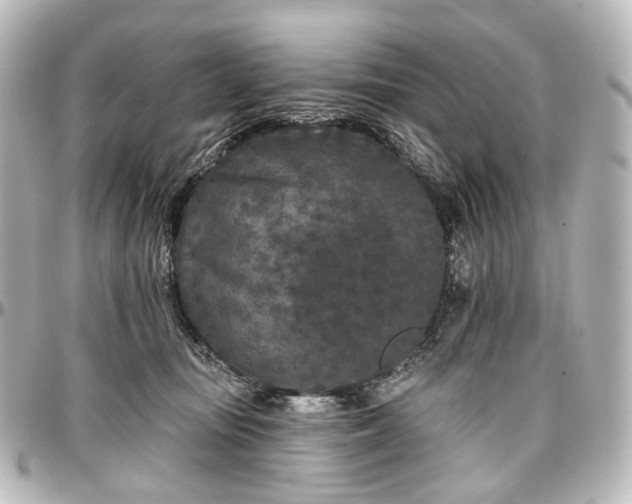 X0000097290371200802221317