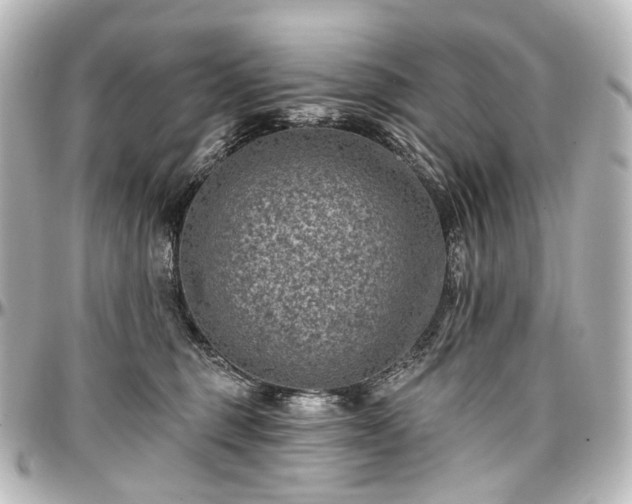 X0000097290375200802221317