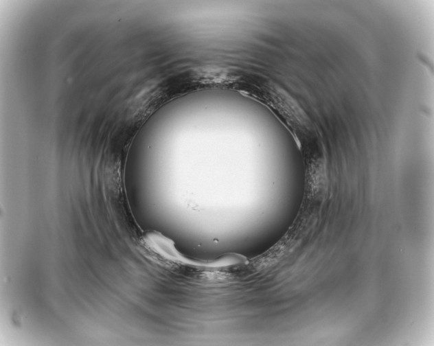 X0000097290376200802221317