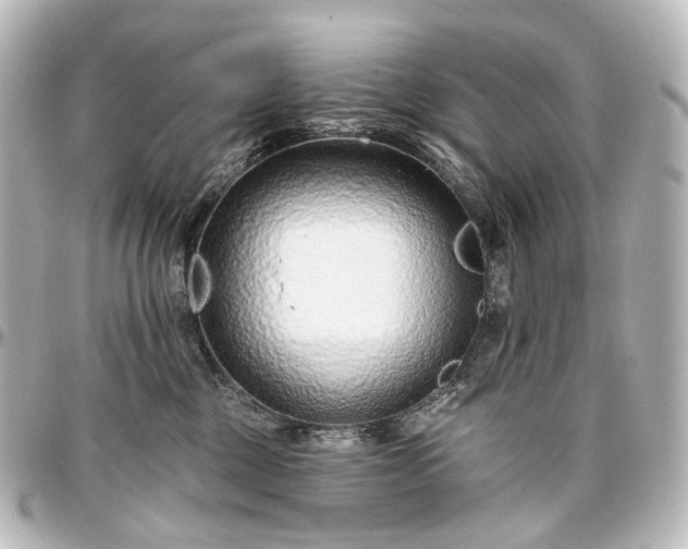 X0000097290377200802221317