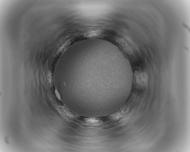 X0000097290380200802221317