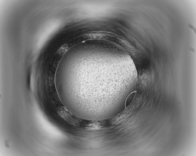 X0000097290381200802221317