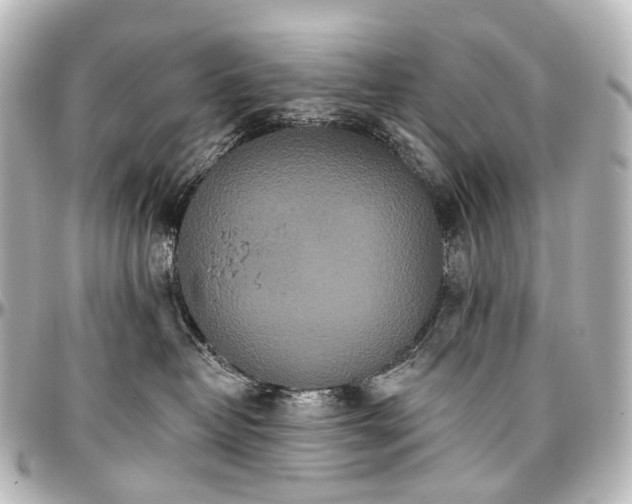 X0000097290382200802221317