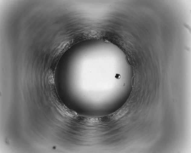 X0000097290384200802221317