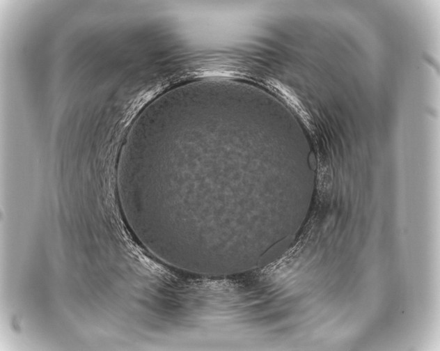 X0000097290385200802221317