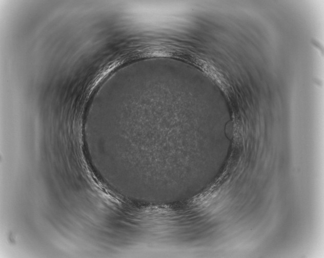 X0000097290386200802221317