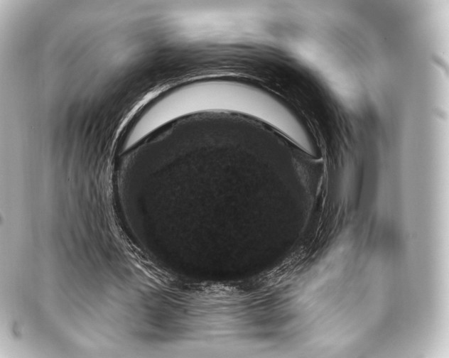 X0000097290387200802221317