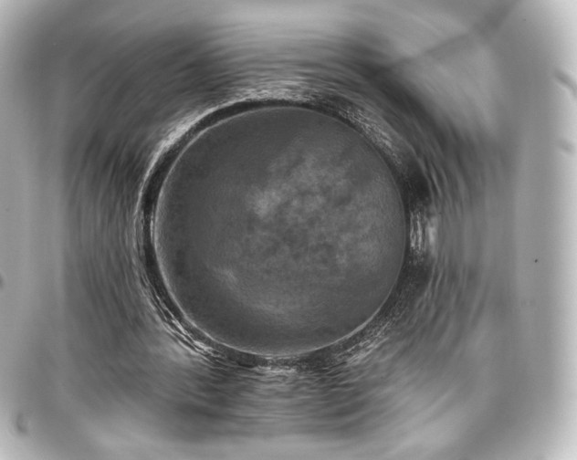 X0000097290388200802221317