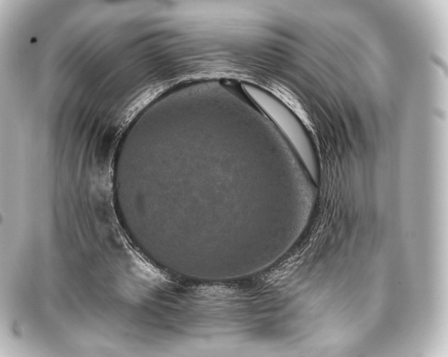 X0000097290389200802221317