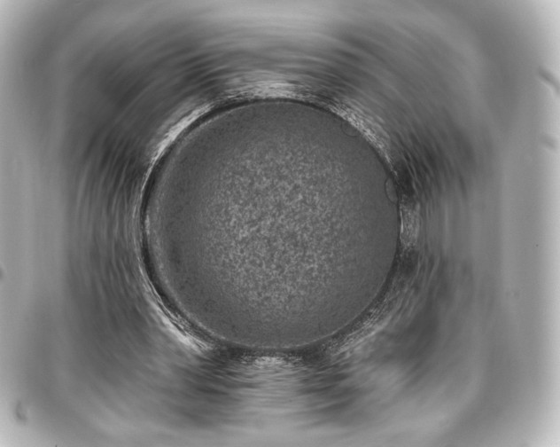 X0000097290390200802221317