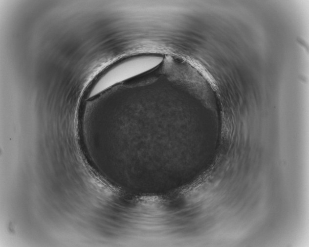 X0000097290391200802221317