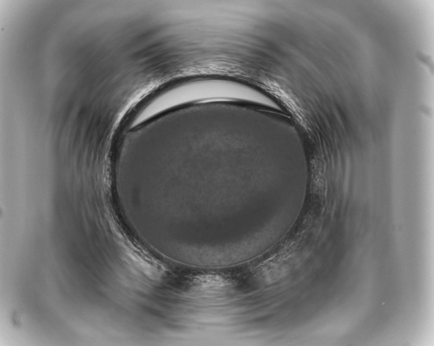 X0000097290392200802221317