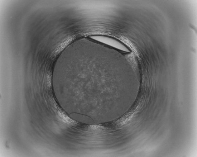 X0000097290393200802221317